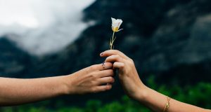 Best WordPress Themes For Nonprofit Charity and Fundraising