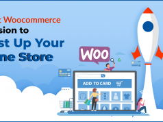 Best WooCommerce Extensions